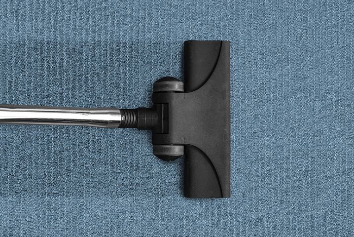 best way to vacuum bed bugs in carpet