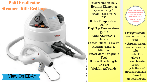steam cleaners for bed bugs removal