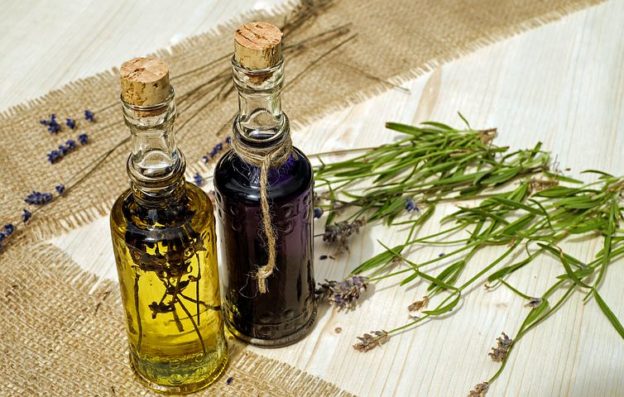 lavender oil for bed bugs