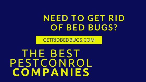 best pest control