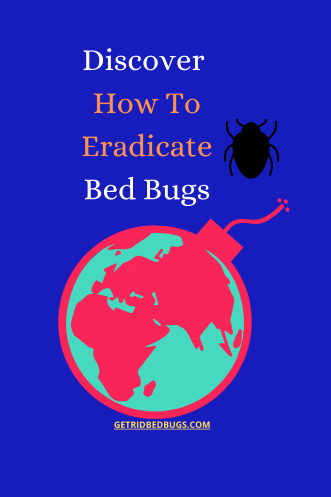 how to kill bed bugs