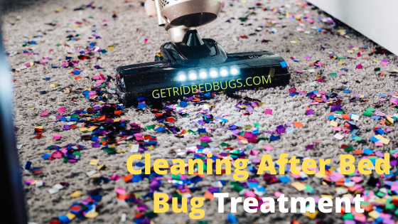 cleaning after bed bug treatment