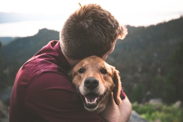 bed bug spray safe for pets