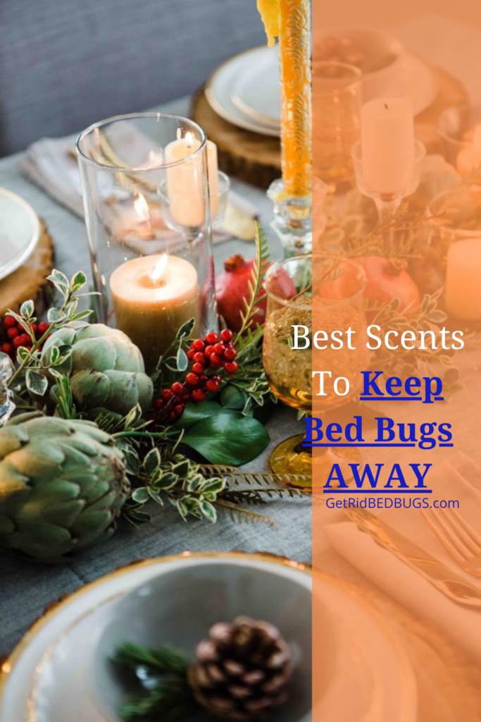 what scents keep bed bugs away