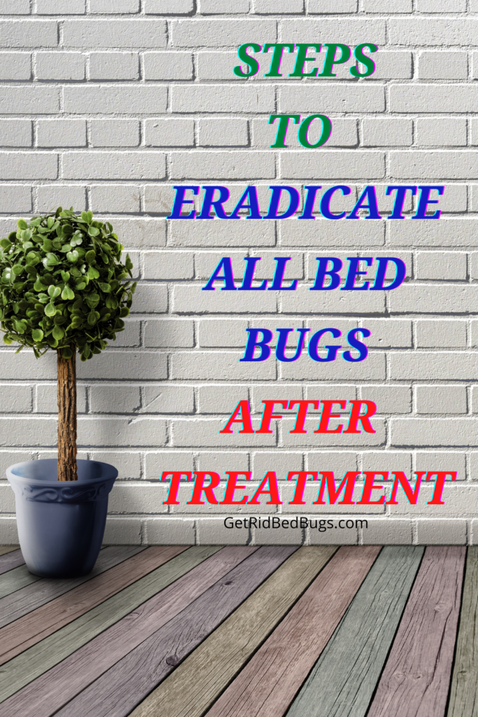 how do you know if bed bugs are gone