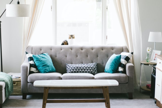 most effective bed bug treatment