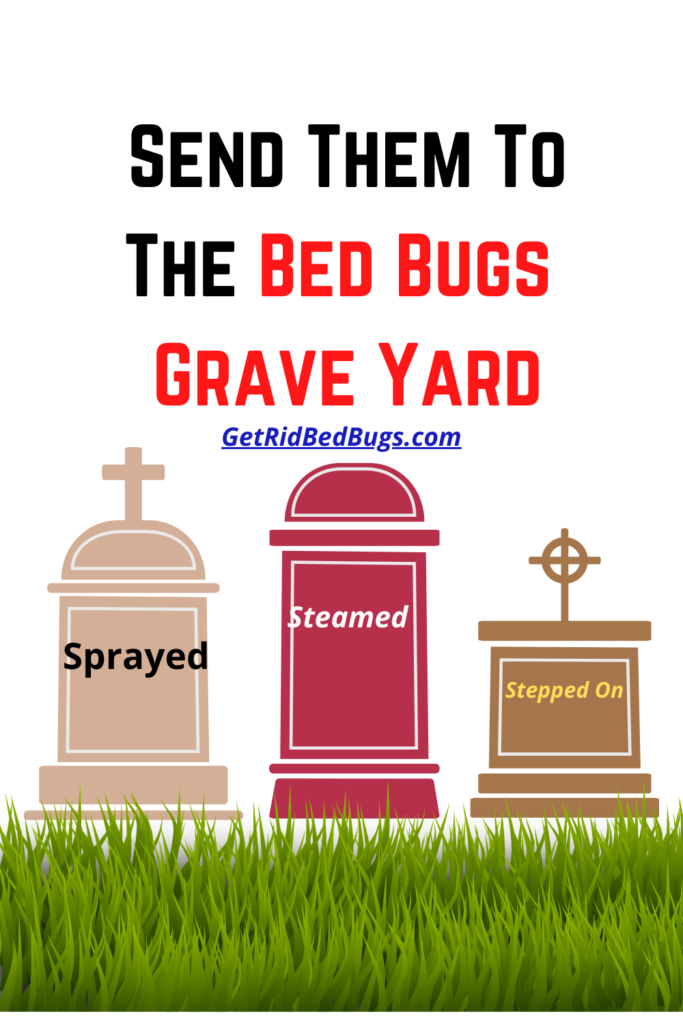 what kills bed bugs