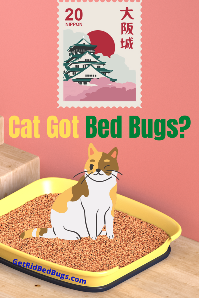 can bed bugs live in cat litter