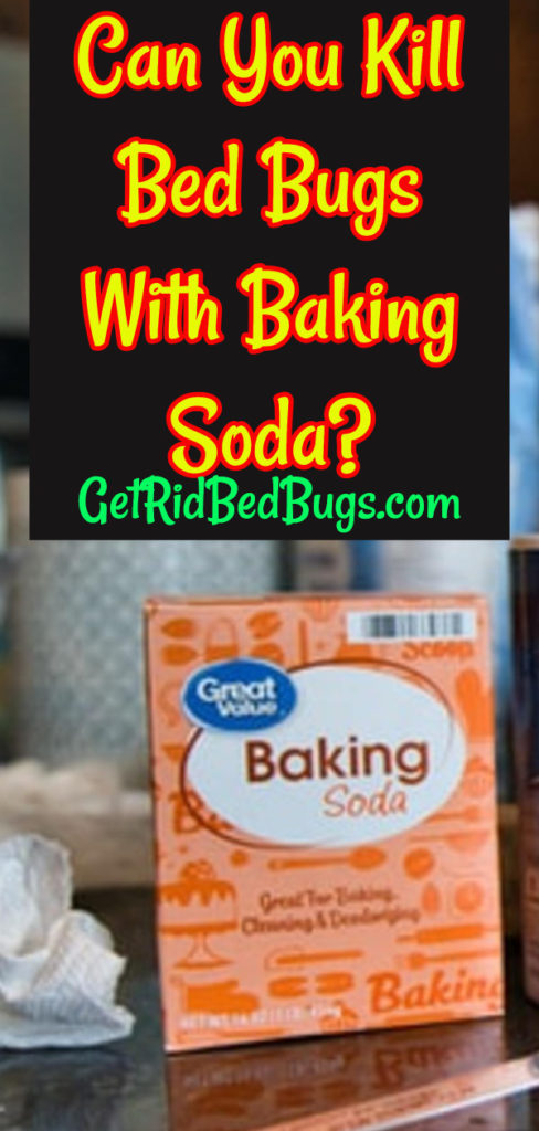 does baking soda kill bed bugs