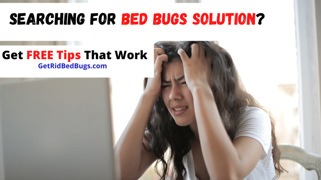 can't get rid of bed bugs