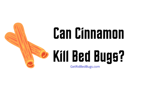 cinnamon for bed bugs