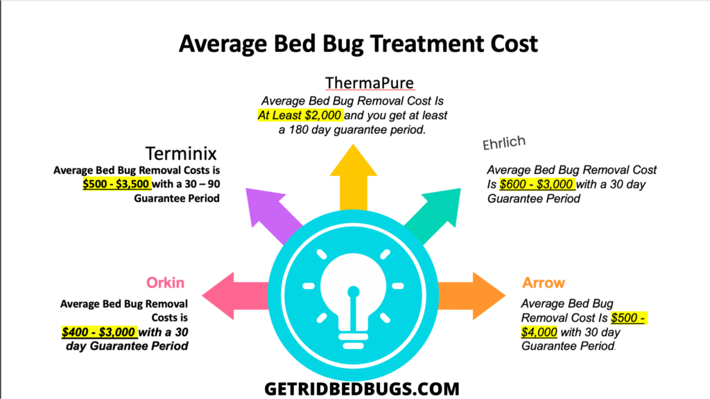 How To Get Rid Of Bed Bugs On A Tight Budget