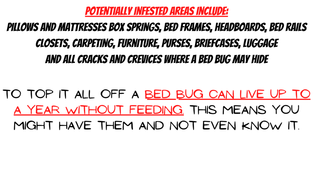 GET RID BED BUGS